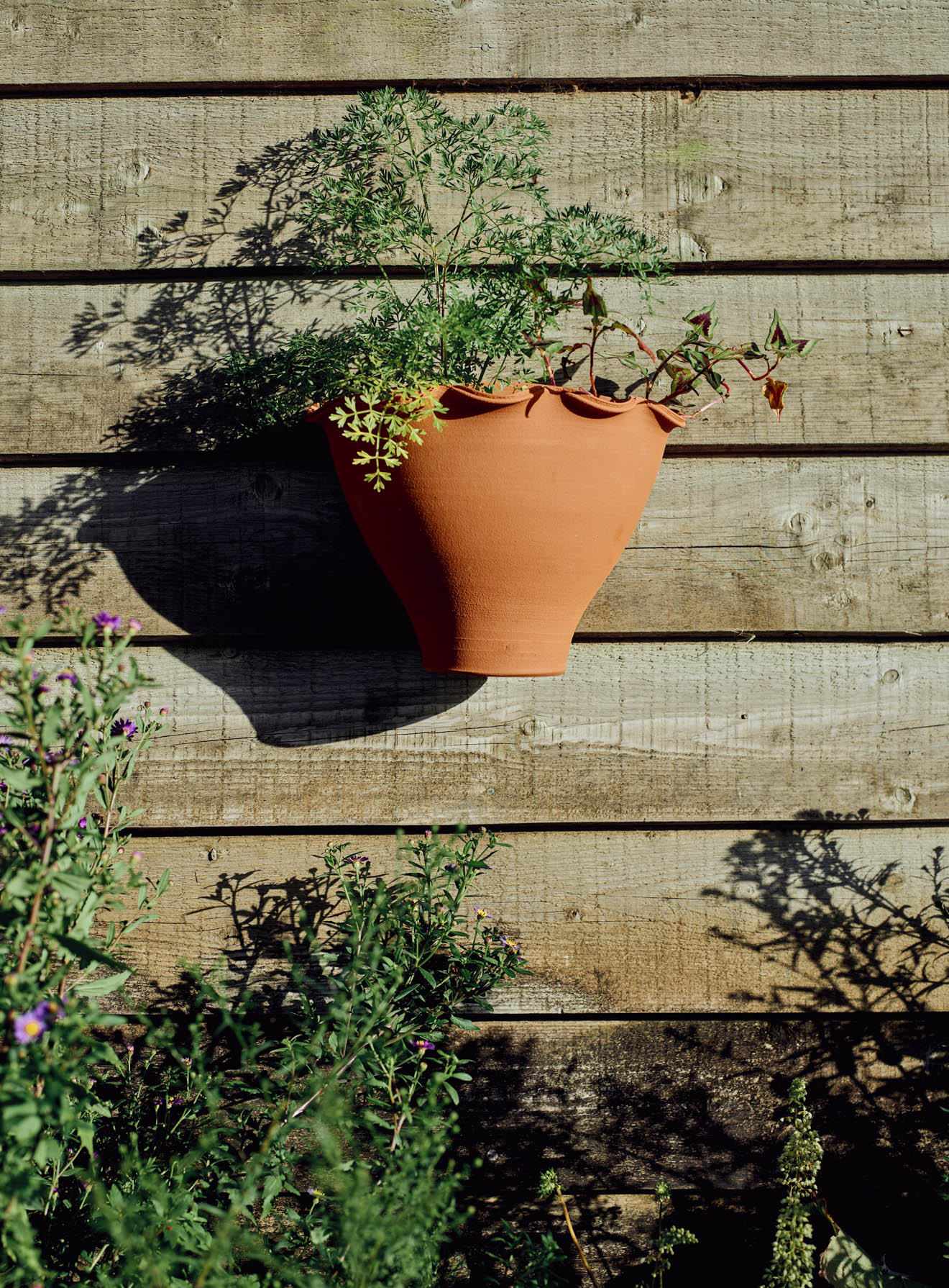 terracotta wall pots for plants Eden Wall-Mounted Terracotta Pot, Large