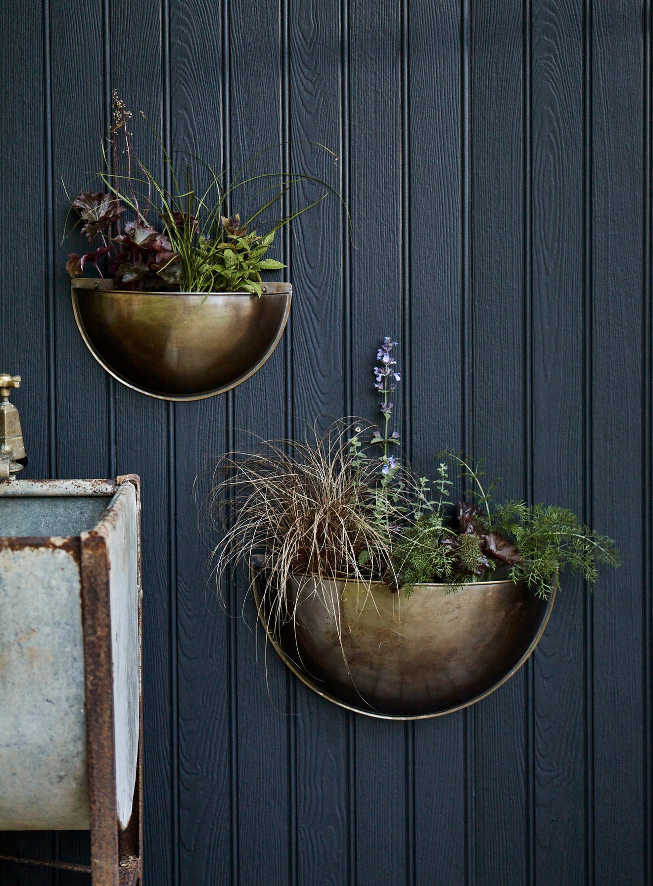 flat back wall hanging planter Sola Brass Wall Planter | Indoor & Outdoor Wall Planters