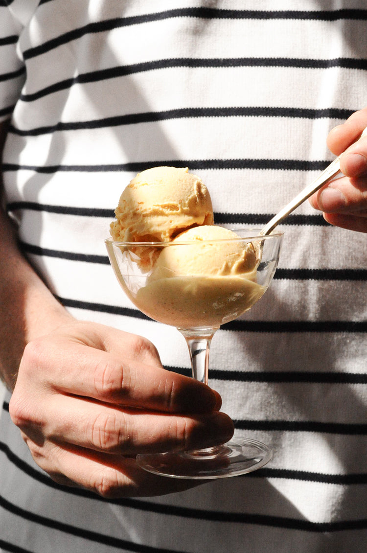 Roasted Apricot and Honey Ice Cream