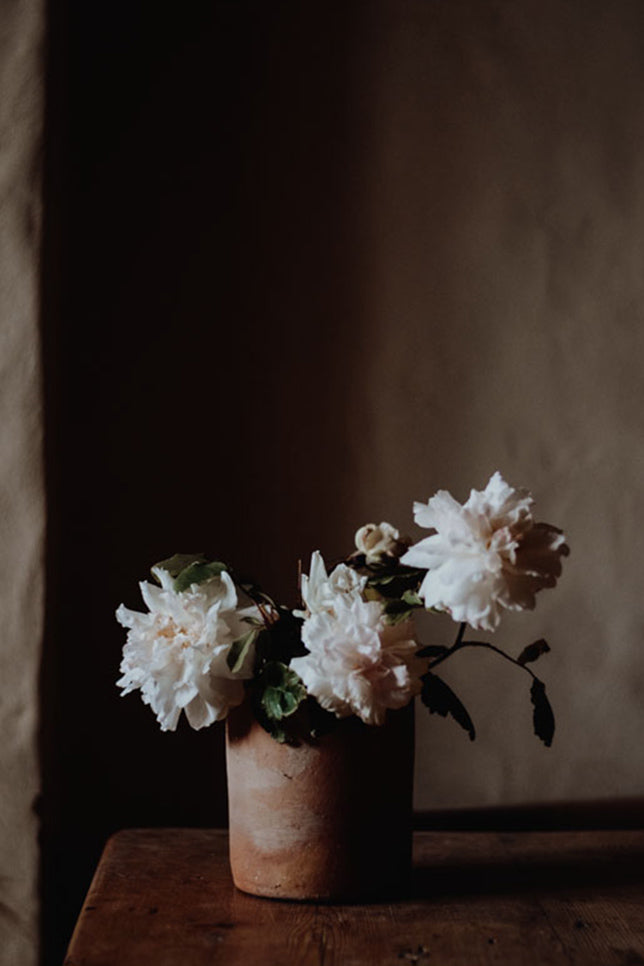 Potting with Grace Alexander