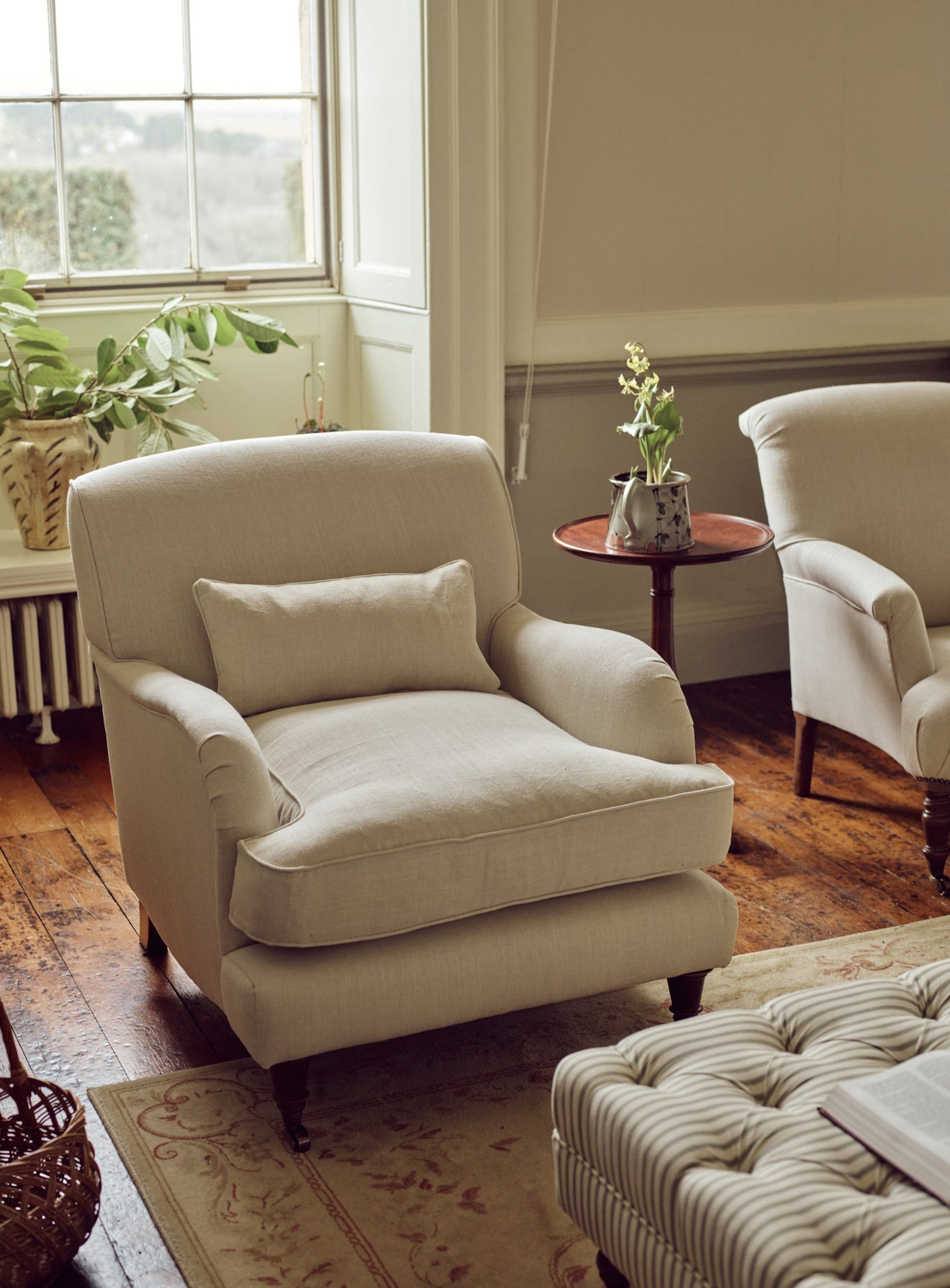 Abington Armchair, Parchment Cotton