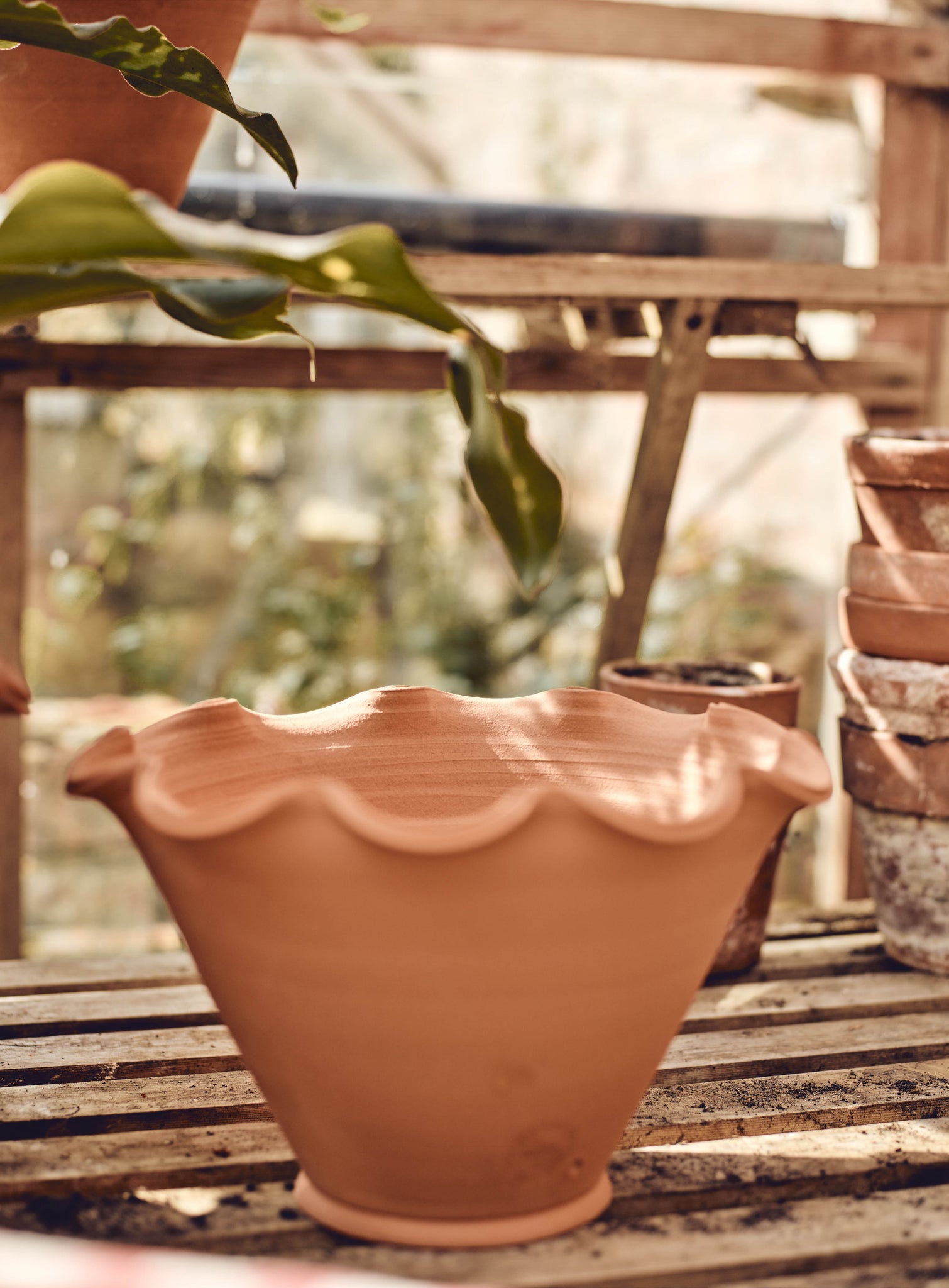 Eden Terracotta Pot Rowen & Wren