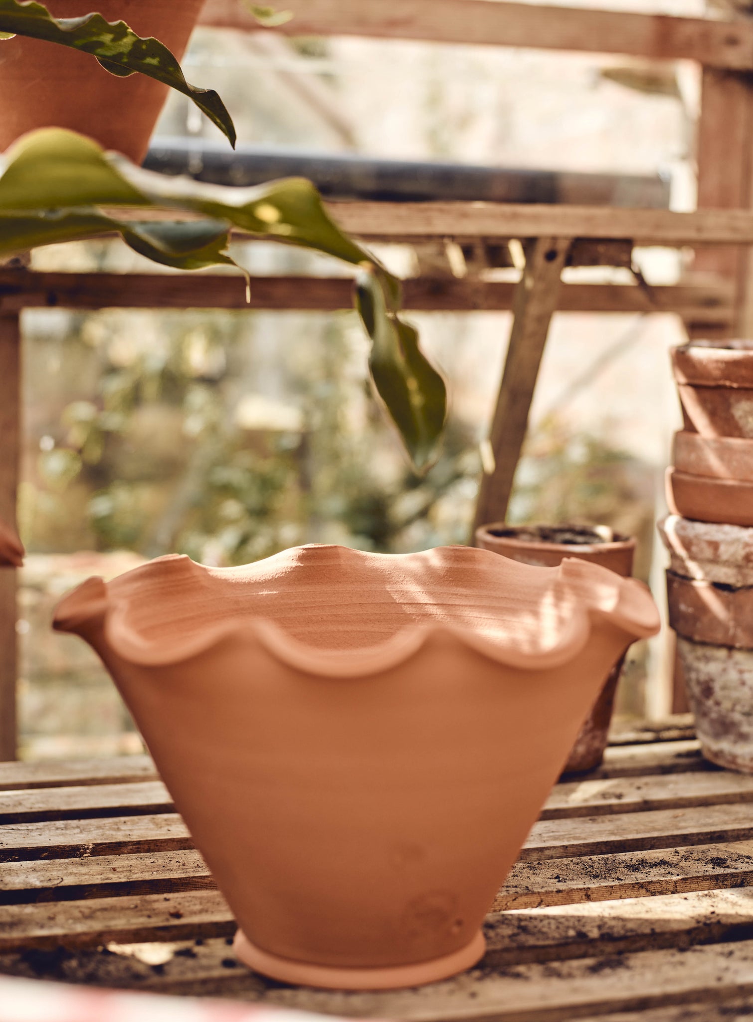 Eden Terracotta Pot