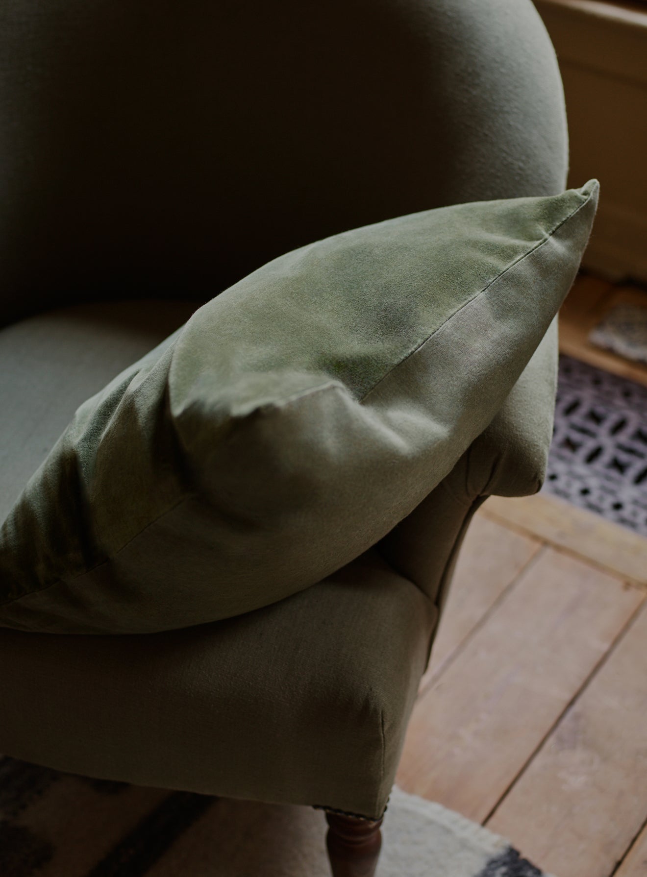 Velvet Cushion, Fern