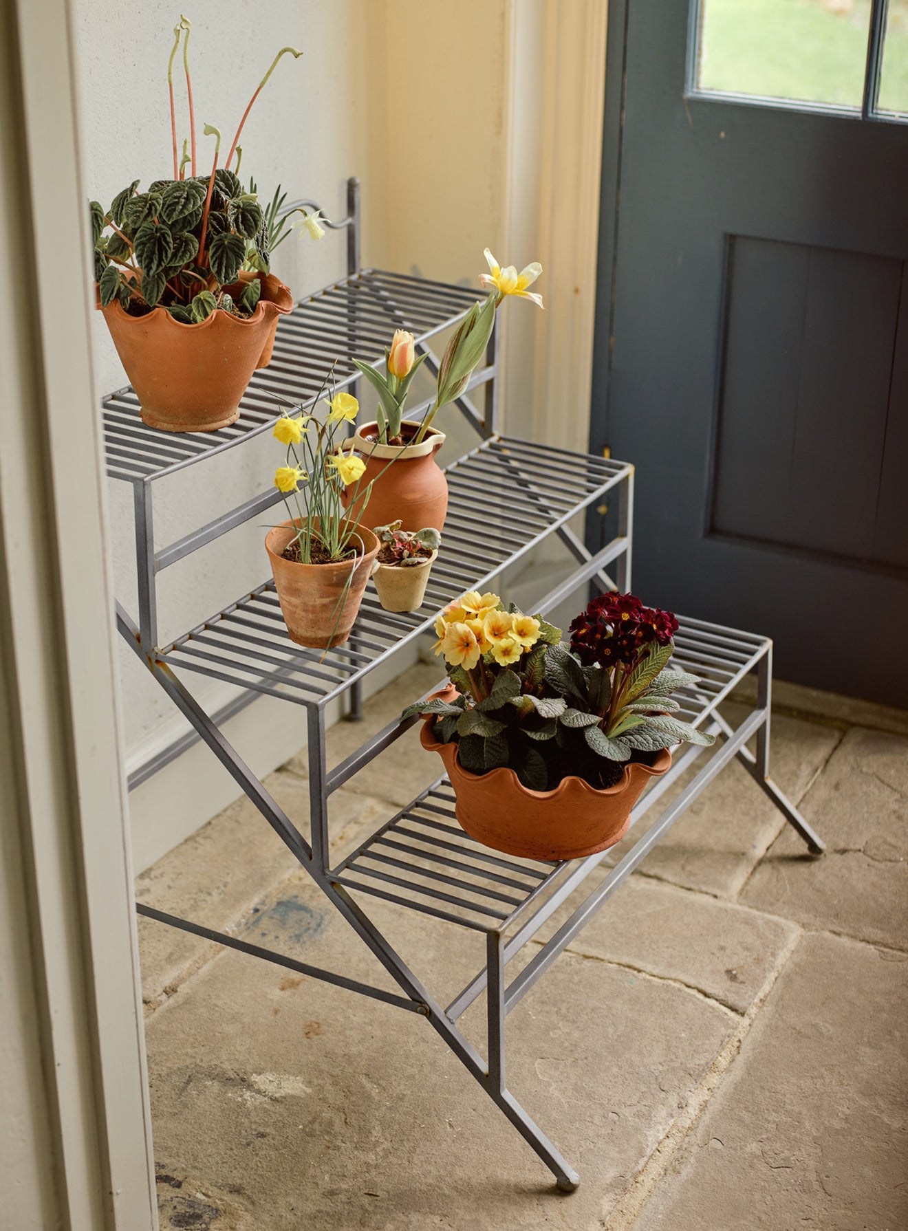 Outside Metal Plant Stands