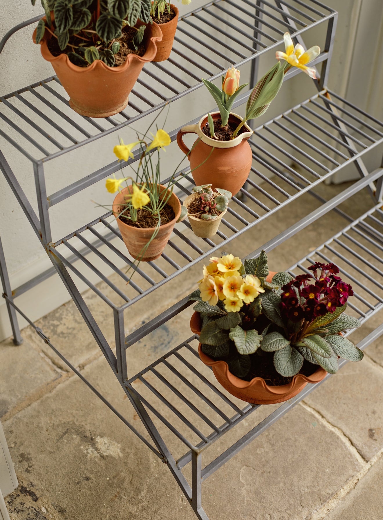 metal plant stands indoor uk Burnell Tiered Plant Stand