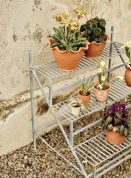 outdoor stands for pot plants Burnell Tiered Plant Stand